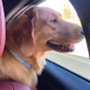 Meet your Posher, Li